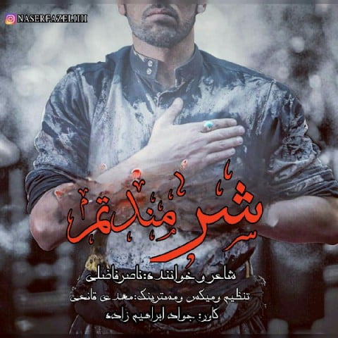 ناصر فاضلی شرمندتم